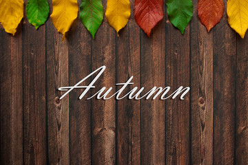 autumn leaves on wooden background
