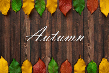 autumn leaves on wooden background
