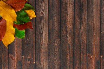 autumn leaves on wooden background