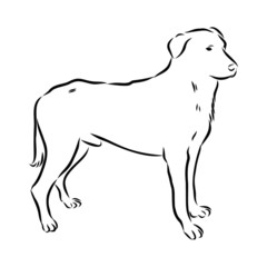 silhouette of dog isolated on white background