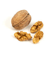 walnuts in shell isolated on white background