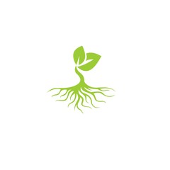 tree with root logo template 