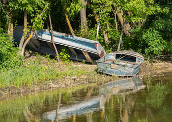 old inverted boat ashore in a thicket of trees
