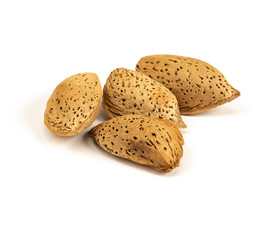 Almond nut in shell isolated on white background close up