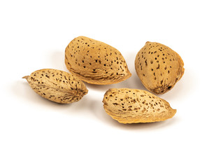 Almond nut in shell isolated on white background close up