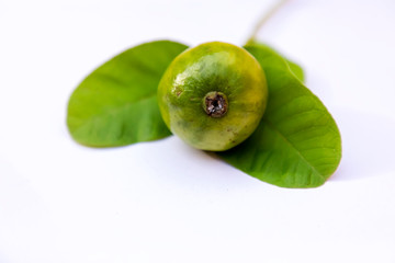 fresh guava fruit on guava green leaf with white background. fresh guava fruit on white background.