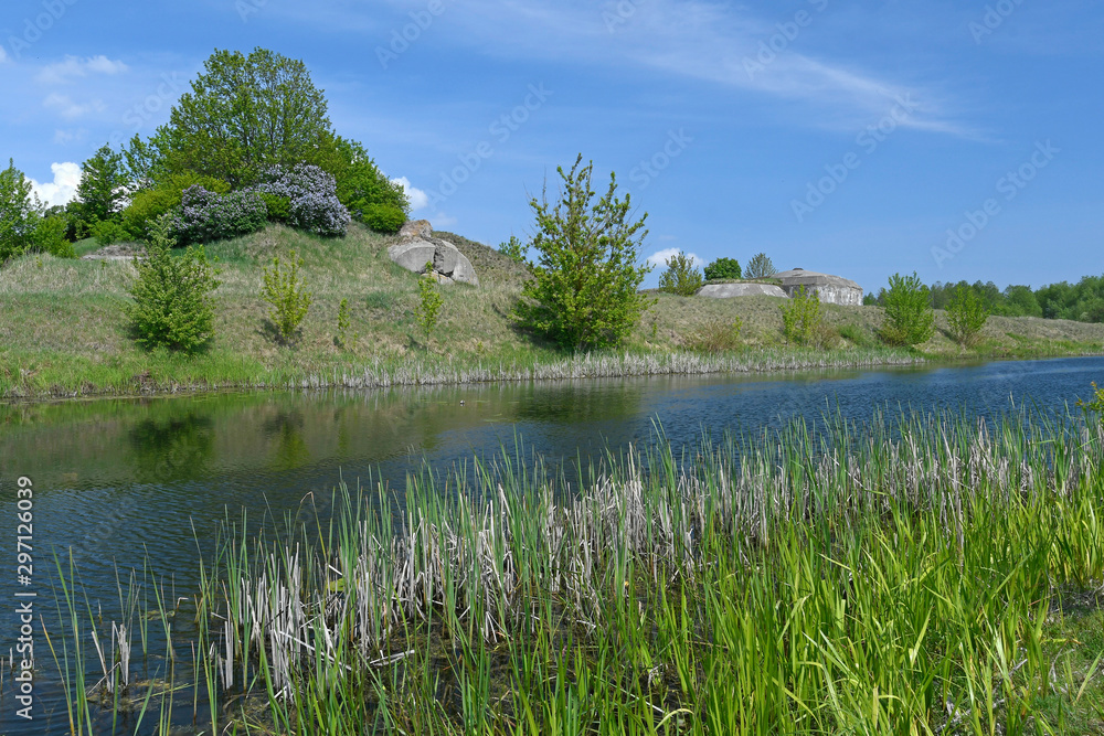 Canvas Prints Altarm der Biebrza im Nationalpark Biebrza - Wetland in Biebrza National Park