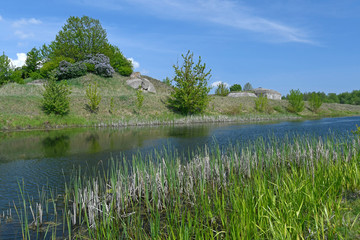 Altarm der Biebrza im Nationalpark Biebrza - Wetland in Biebrza National Park
