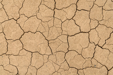 Clay sandy earth parched and cracked
