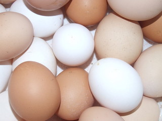 homemade eggs multicolored