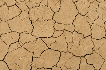 Clay sandy earth parched and cracked