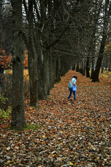 Fototapeta premium girl in a blue jacket walks on yellow leaves