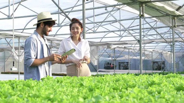 Farmer man standing and talking to businesswoman By holding a tablet explaining about organic vegetable plot In a standard plant Currently offering trading business. With complete and clean nutrition