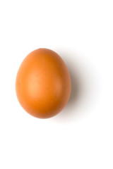 Brown egg isolated on a white background. The egg casts a shadow to the right.