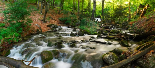 Vlies Fototapete Landschaften Bach im Wald