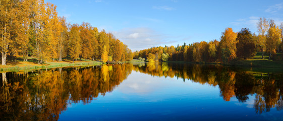 Sunny panoramic autumn landscape with pond in park and trees with yellow autumnal foliage 