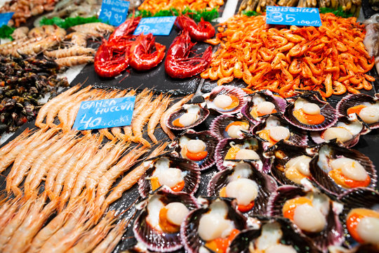 Fresh Seafood stall in Spanish fish market - variety