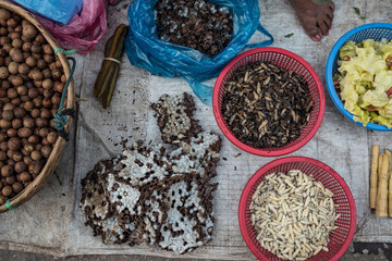 Red ants eggs as common dish in Laos 
