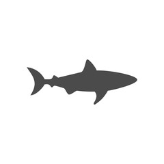 Fototapeta premium shark icon vector. Linear style sign for mobile concept and web design. shark symbol illustration. Pixel vector graphics - Vector.