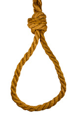 Rope with noose for the suicide isolated on white background