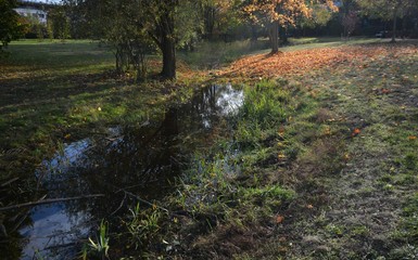 Autumnal Impressions from Falkensee in Brandenburg, near Berlin Spandau on October 20, 2019, Germany