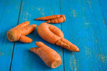 ugly fresh organic carrots on blue wooden background 