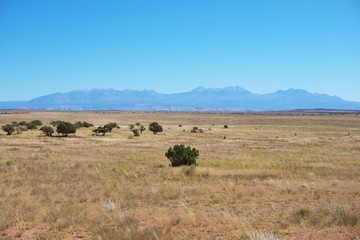 Obraz premium Canyonlands National Park, Utah