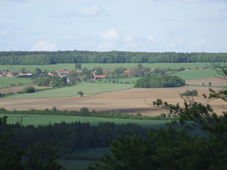 Fototapeta na wymiar Summer space. Panorama of the fields of the Czech Republic.