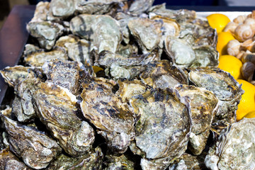 Seafood. Plenty of fresh closed oysters on ice. Close up.