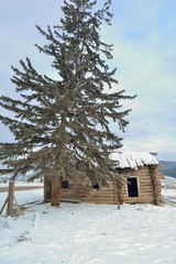 house in winter forest_33