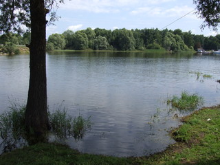 quiet river in summer