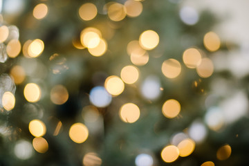 Obraz premium Defocused gold abstract christmas background. Texture