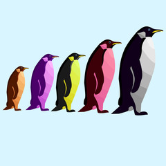 colorful five penguin pop art portrait