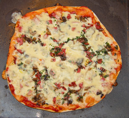 Pizza with mozzarella, fried mushrooms, sausage and parsley