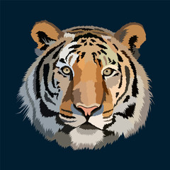 polygonal head tiger pop art portrait