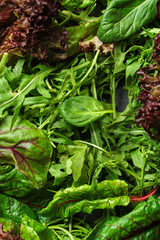 Healthy salad, leaves mix salad (mix micro greens, juicy snack). food background. copy space. Top view