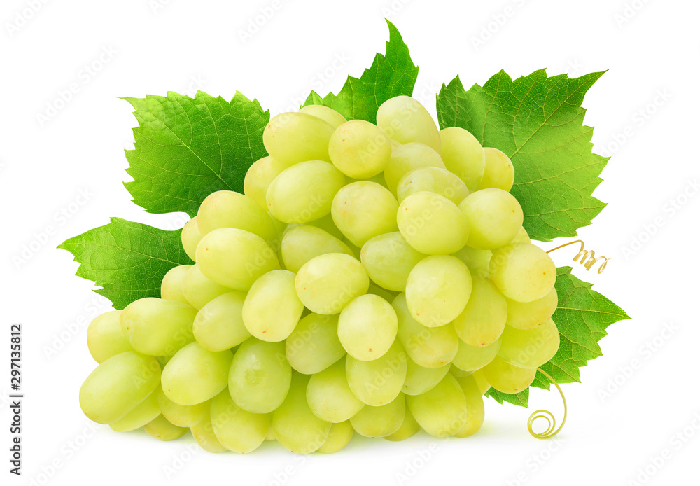 Leinwandbilder Isolated white grape. Bunch of Thompson seedless grapes with leaves and tendrils isolated on white background with clipping path