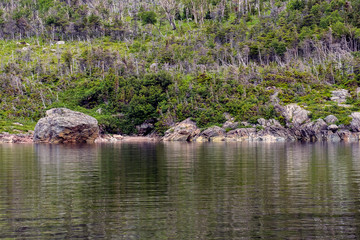 water and Forest scene