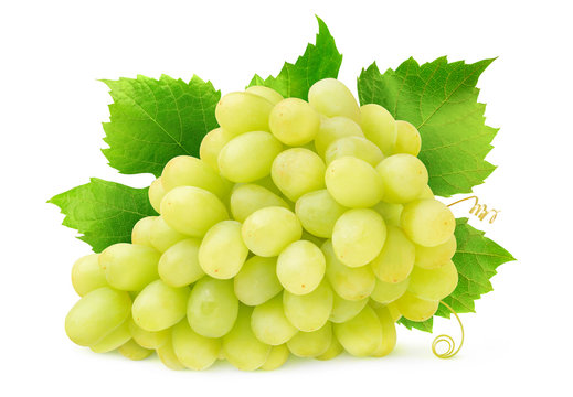 Isolated white grape. Bunch of Thompson seedless grapes with leaves and tendrils isolated on white background with clipping path