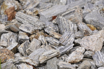 bark for landscape decoration, urban landscaping. laying out paths in the lawn, podsypka for bushes and trees