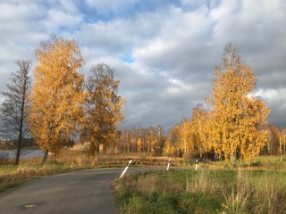 Obraz premium autumn in the park