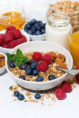 healthy breakfast. granola, fresh berries and fruits on white table, vertical