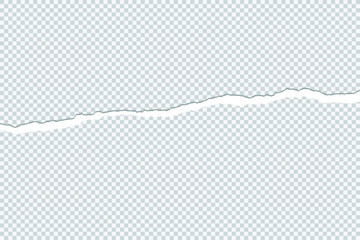 Torn paper edge isolated on transparent background - Vector illustration