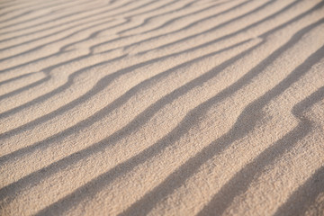 Fototapeta na wymiar Abstract background and texture of sand waves in desert