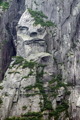 A FAce in Stone