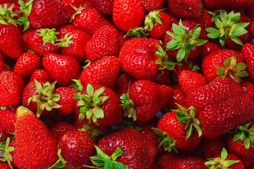 Strawberry. Fresh berries macro. Fruit background. Top view.