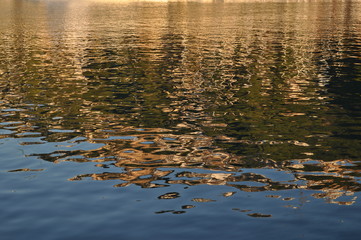 reflection in water