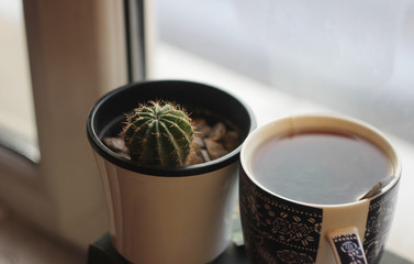 cup of tea and cactus