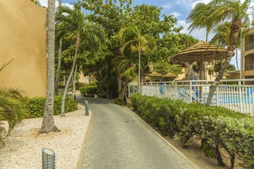 Amazing park area on Aruba Island. Nice nature landscape. Palm trees, bushes, plants.  Beautiful background.