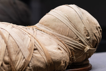 Ancient Egyptian mummy photographed at the archaeological museum of Florence